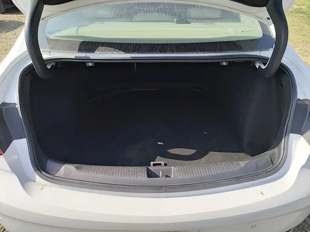 Buick Regal — фото 24