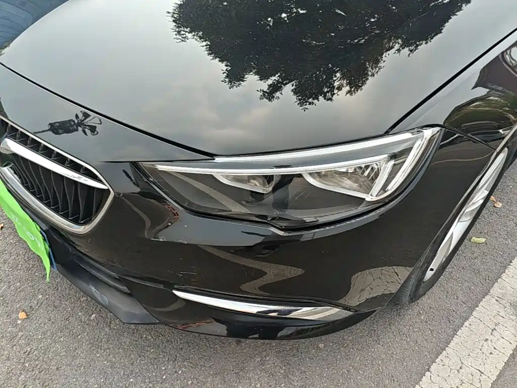 Buick Regal — фото 24