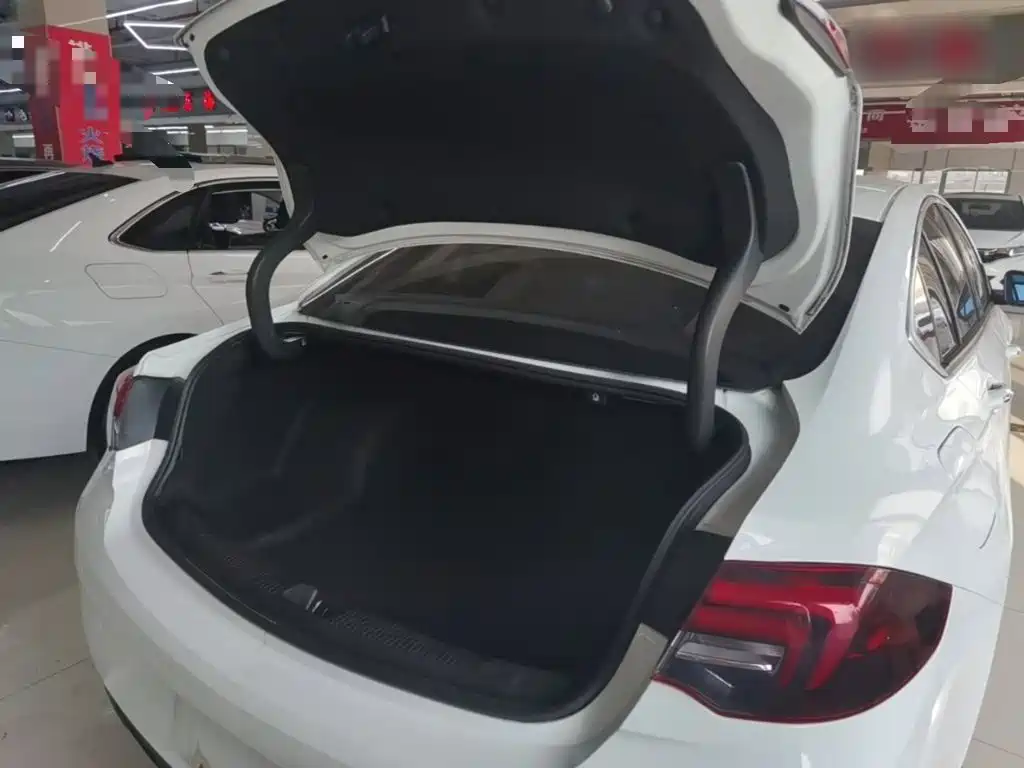 Buick Regal — фото 19