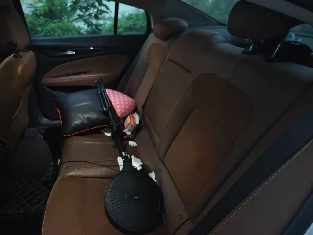 Buick Regal — фото 15