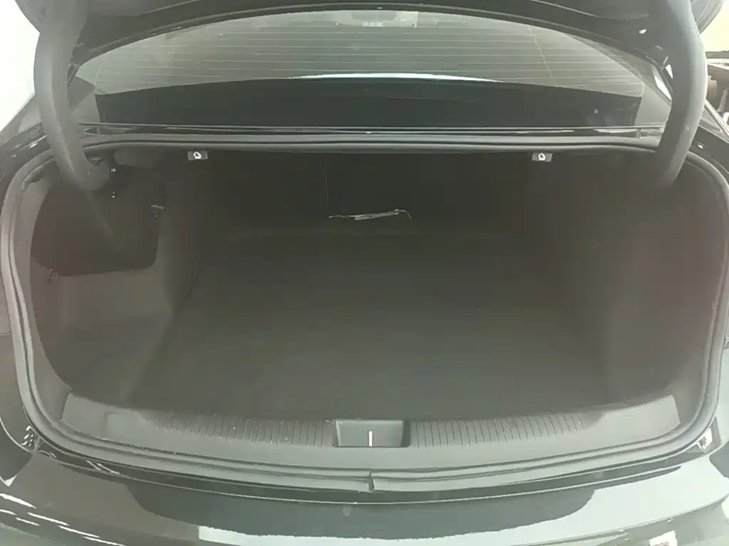 Buick Regal — фото 19