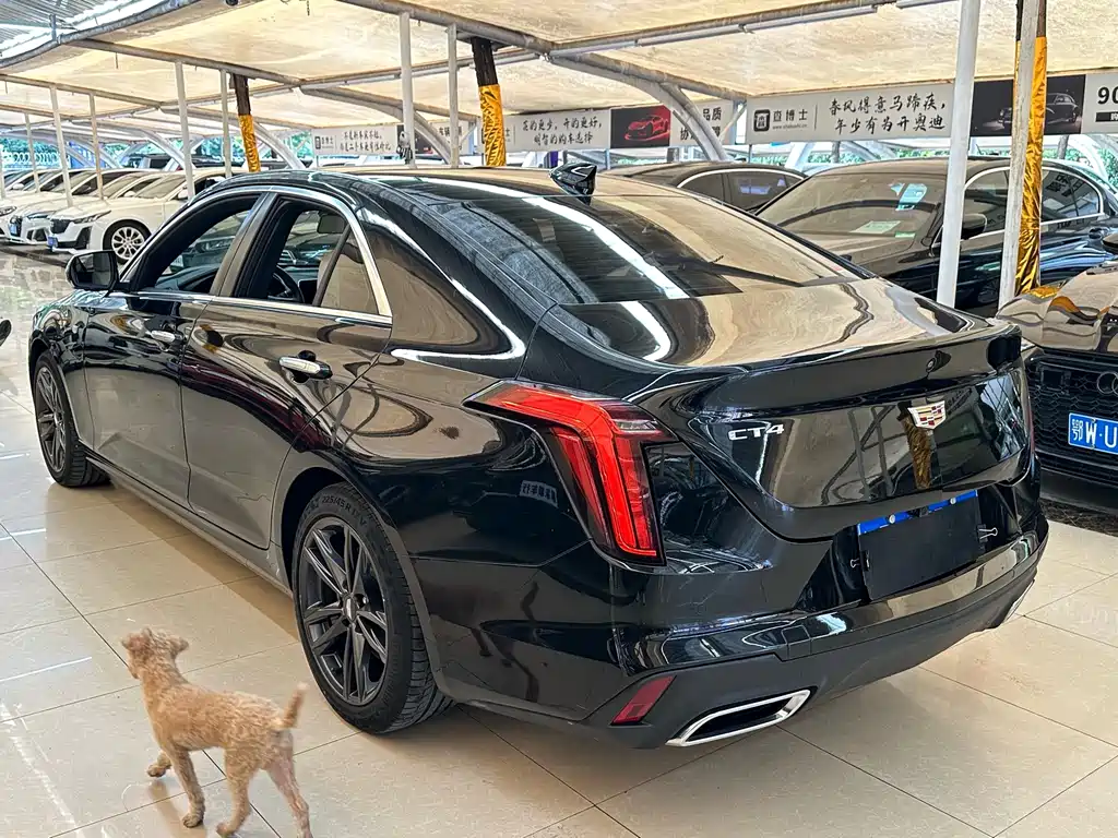 Cadillac CT4 — фото 6