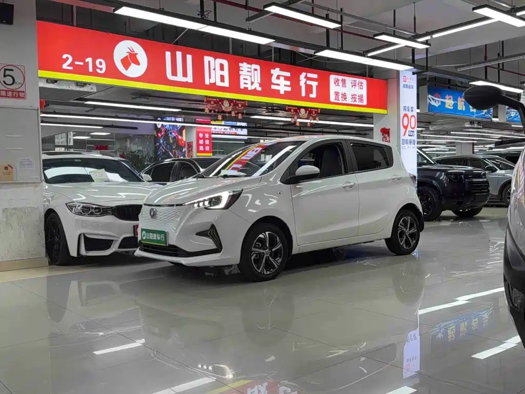 Changan Benben E-Star — фото 9