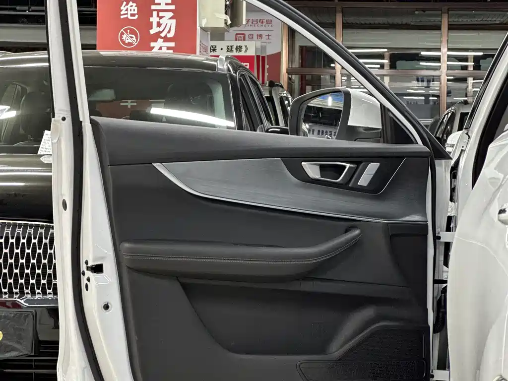 Chery Tiggo 7 PLUS — фото 24