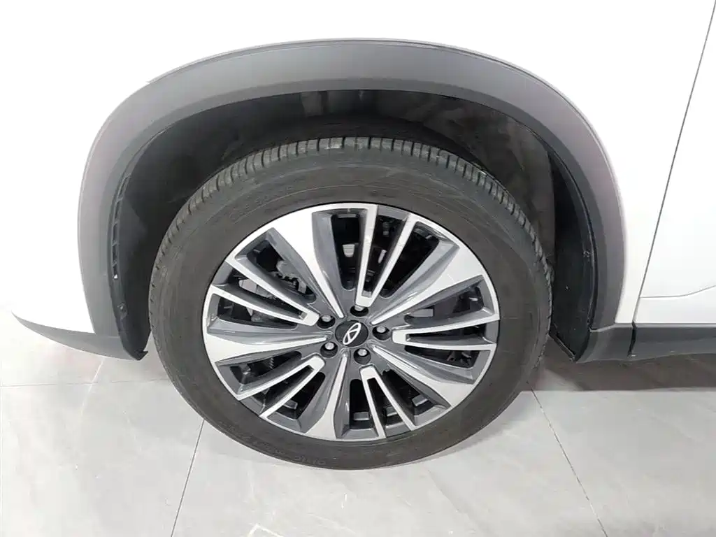 Chery Tiggo 8 PLUS — фото 23