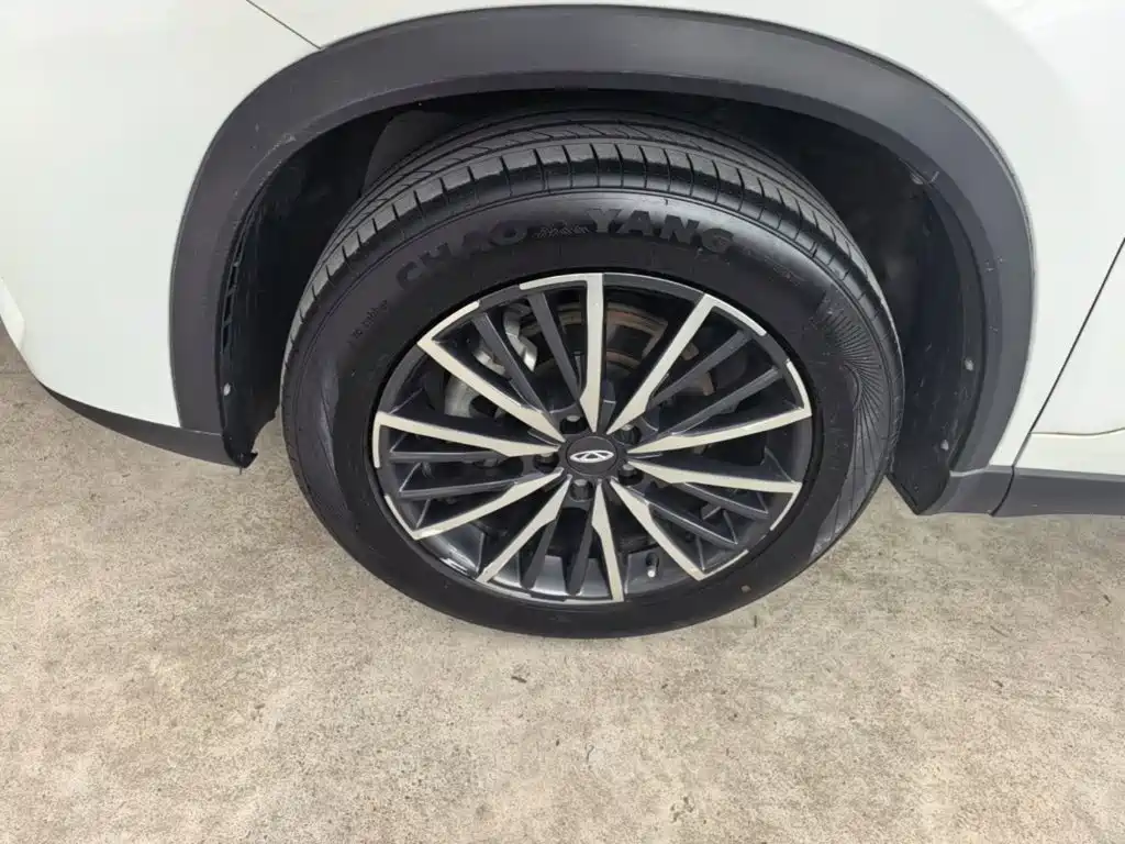 Chery Tiggo 8 PLUS — фото 25