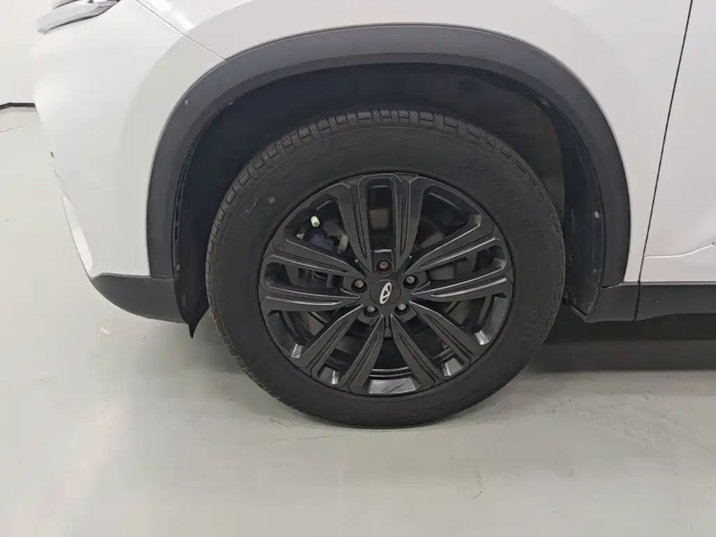 Chery Tiggo 8 — фото 25