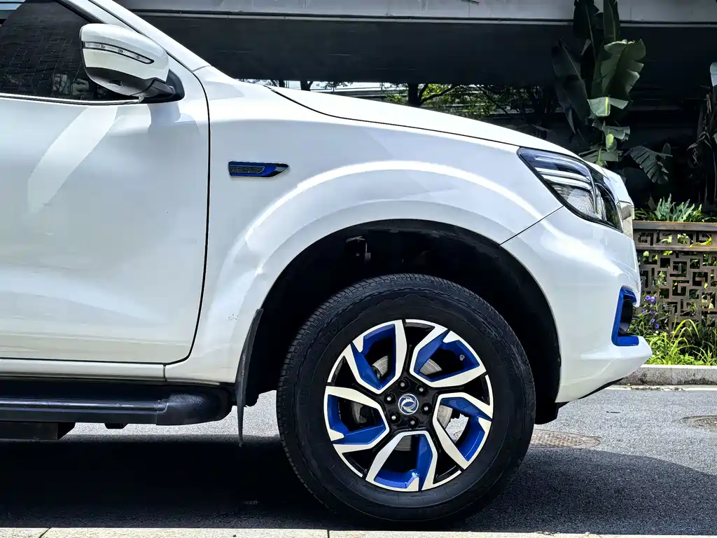 Dongfeng Rich 6 New Energy — фото 11