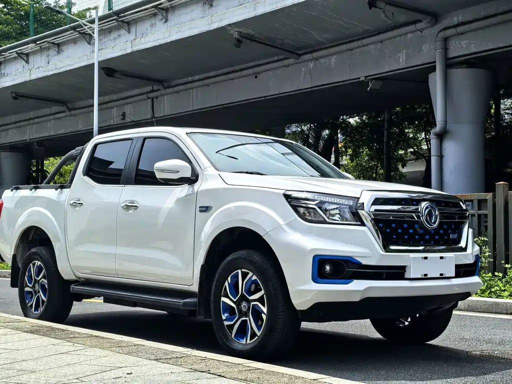 Dongfeng Rich 6 New Energy — фото 4