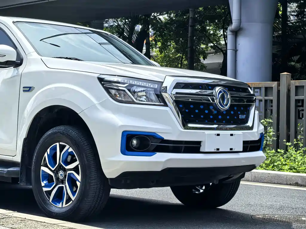Dongfeng Rich 6 New Energy — фото 5