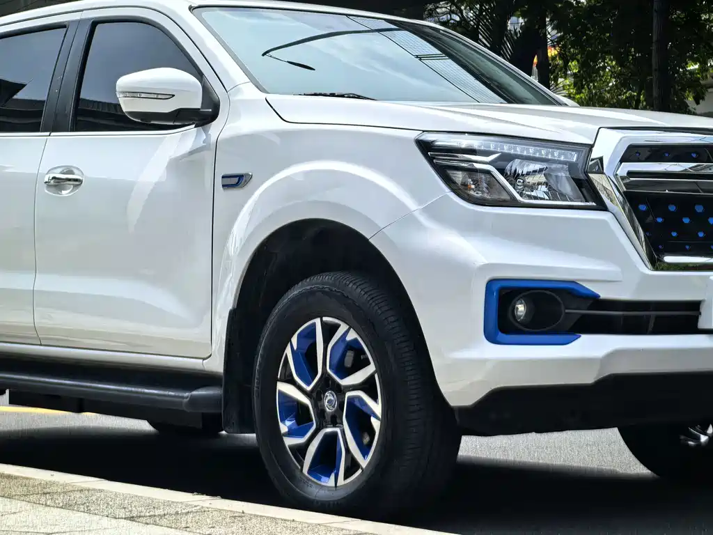 Dongfeng Rich 6 New Energy — фото 6