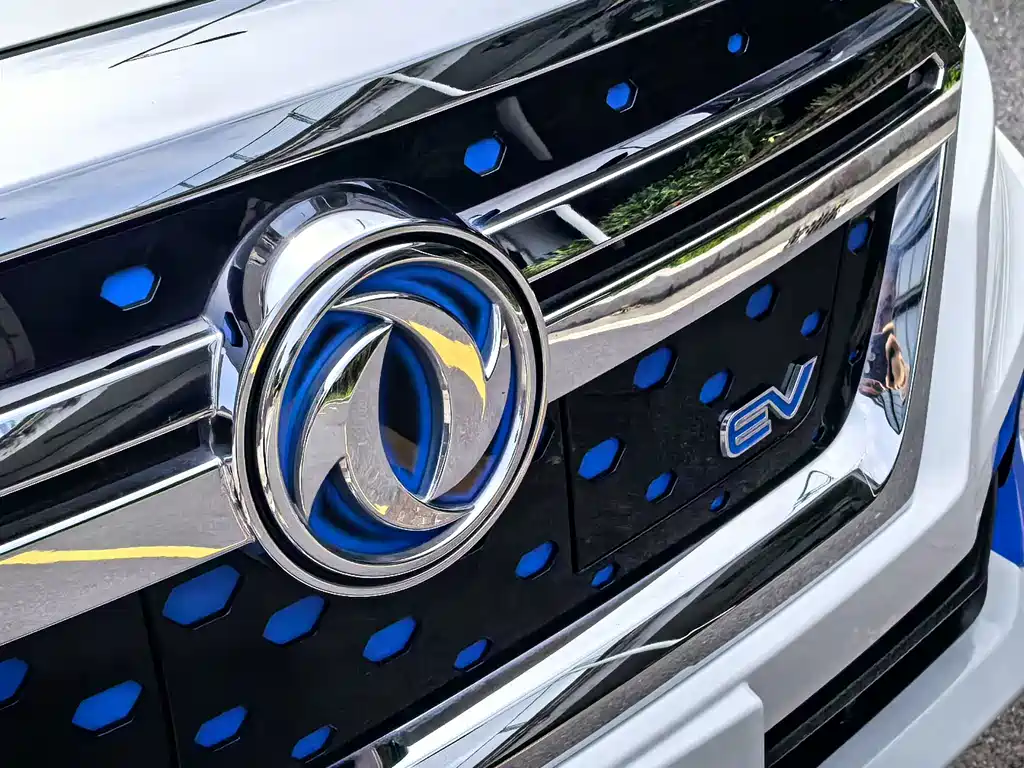Dongfeng Rich 6 New Energy — фото 9