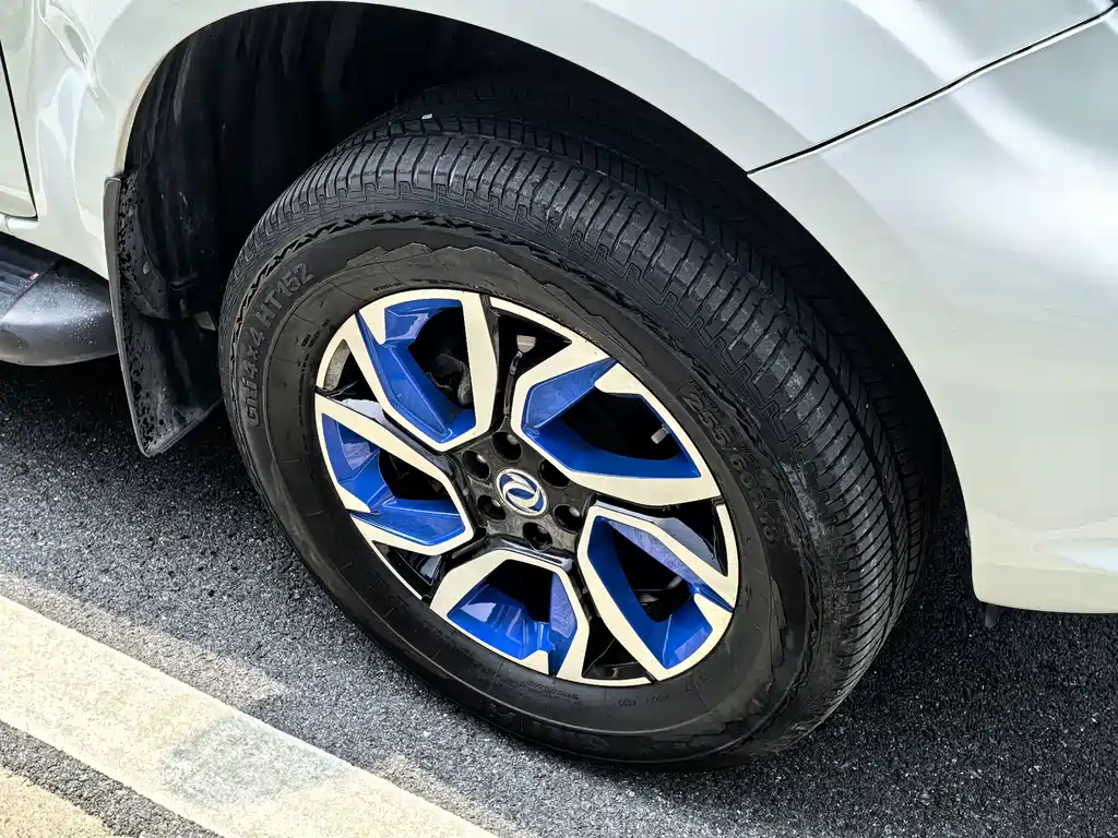 Dongfeng Rich 6 New Energy — фото 10