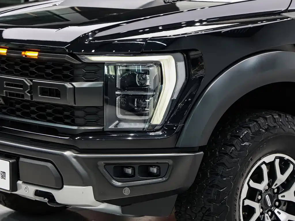 Ford F-150 Raptor — фото 8