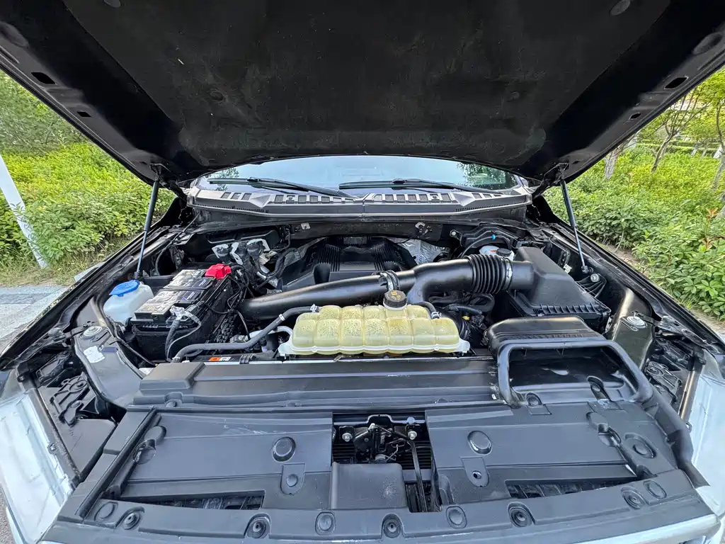 Ford F-150 Raptor — фото 23