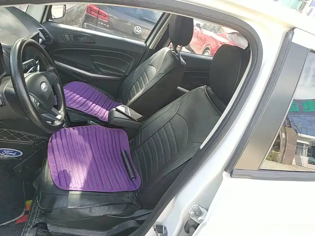 Ford Ecosport — фото 15