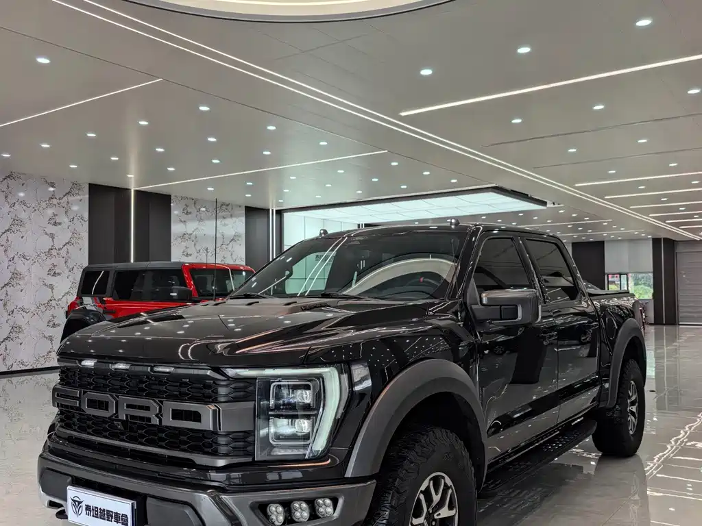 Ford F-150 Raptor — фото 3