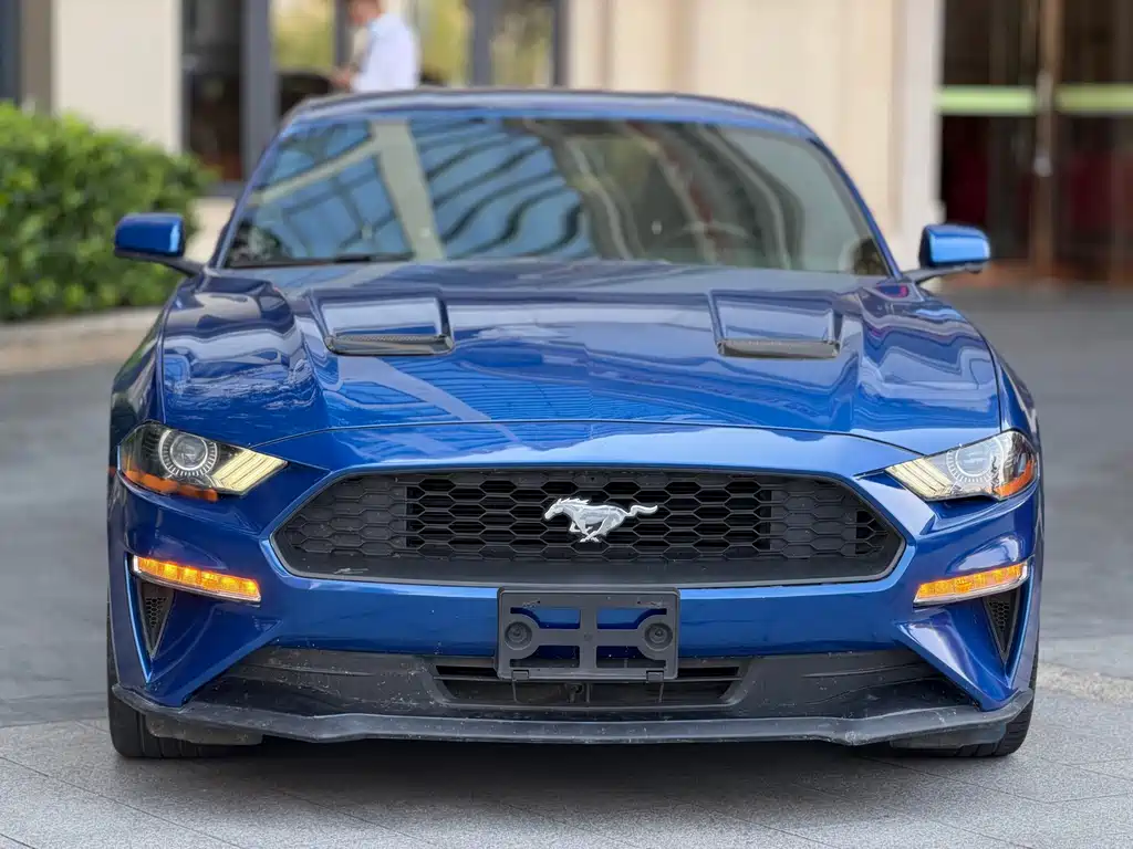 Ford Mustang — фото 3