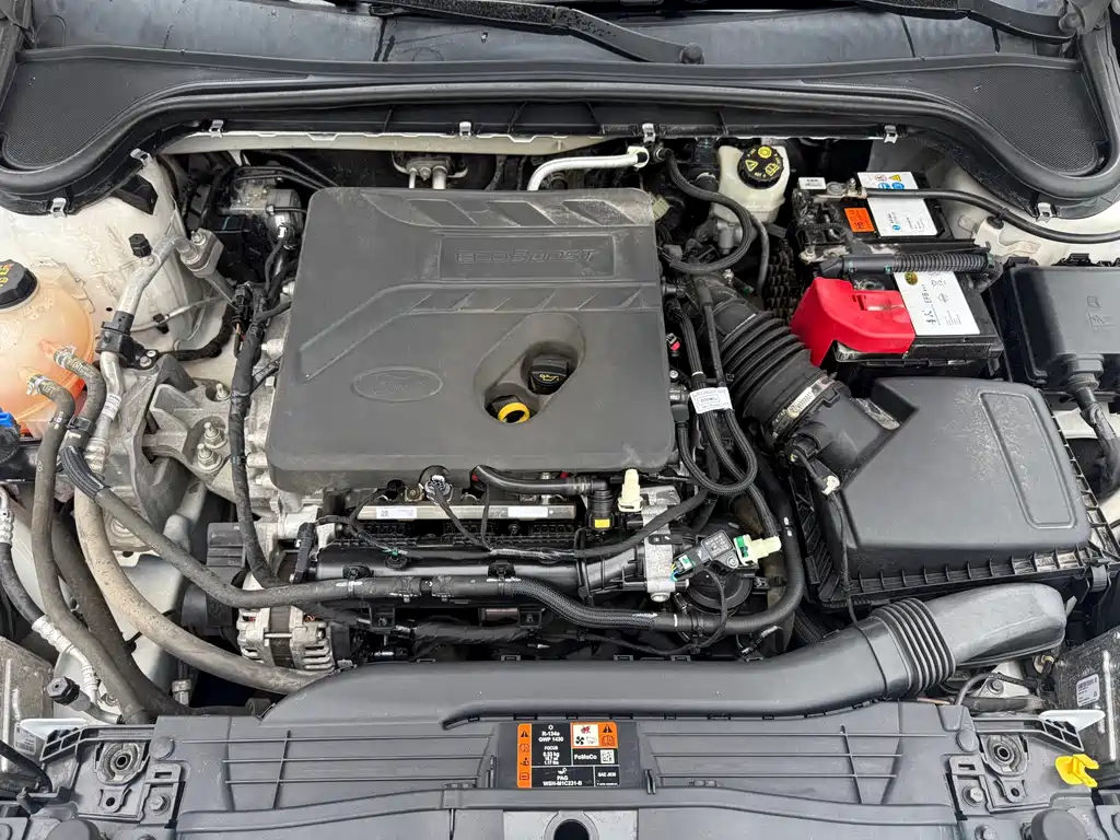 Ford Focus Active — фото 10