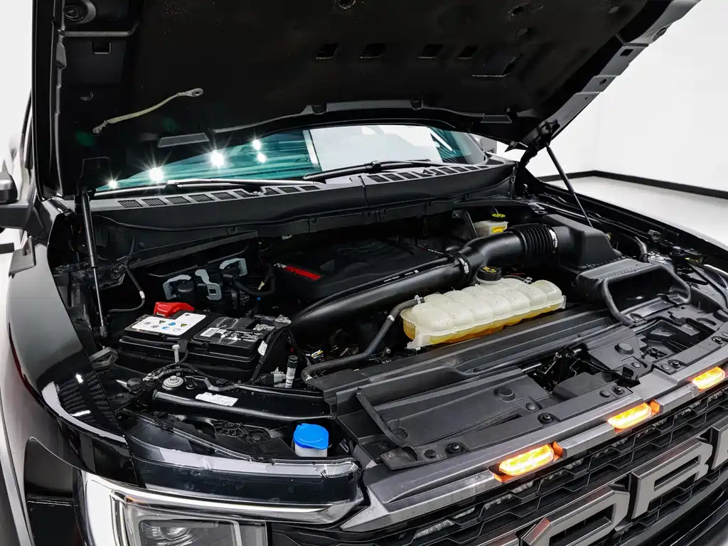 Ford F-150 Raptor — фото 22