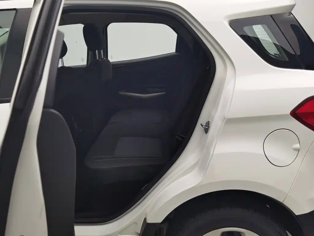 Ford Ecosport — фото 15