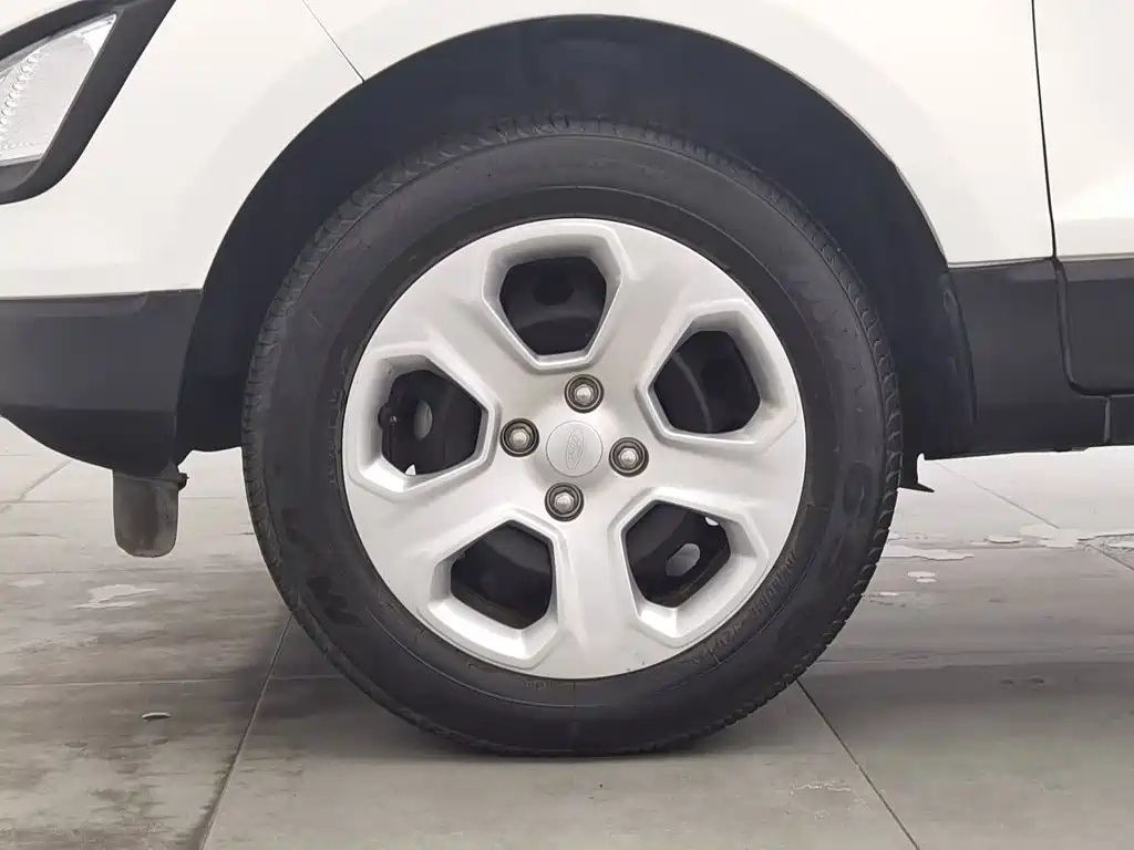 Ford Ecosport — фото 17