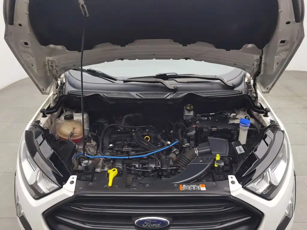 Ford Ecosport — фото 6