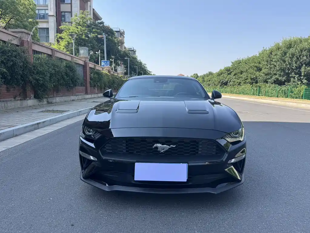 Ford Mustang — фото 2