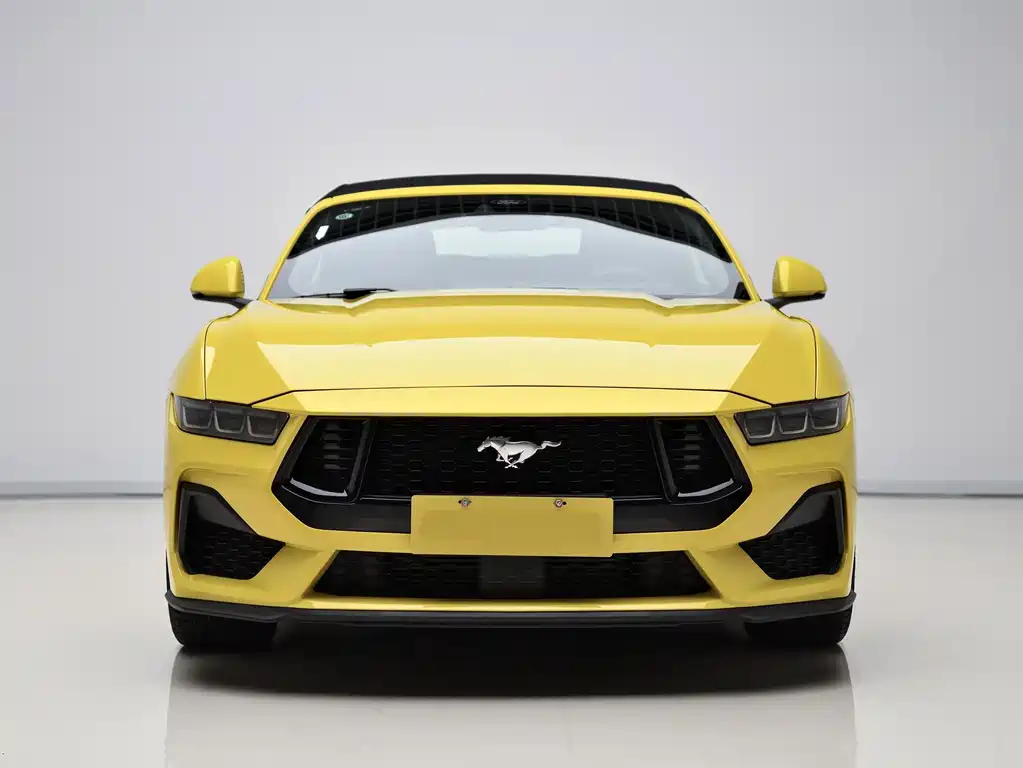 Ford Mustang — фото 2