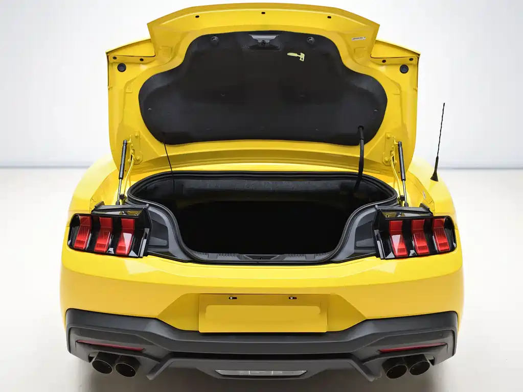 Ford Mustang — фото 10