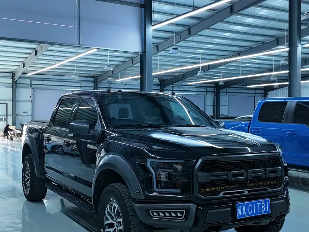 Ford F-150 Raptor — фото 15