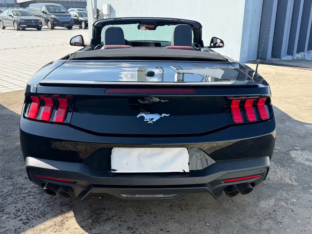 Ford Mustang — фото 13