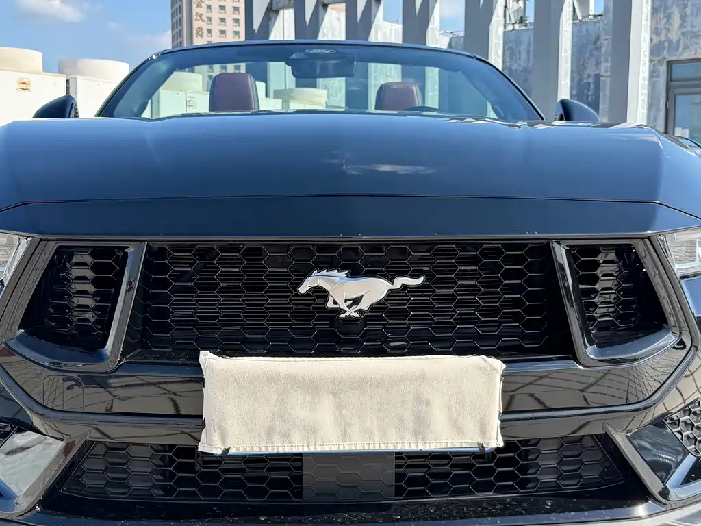 Ford Mustang — фото 19
