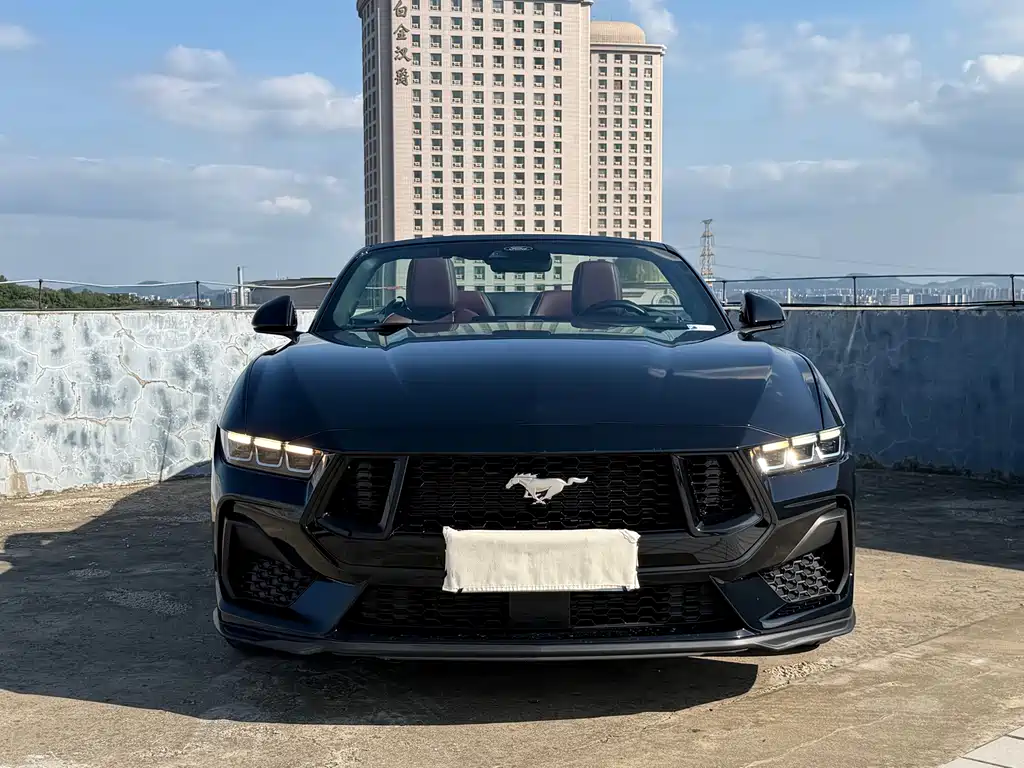 Ford Mustang — фото 10