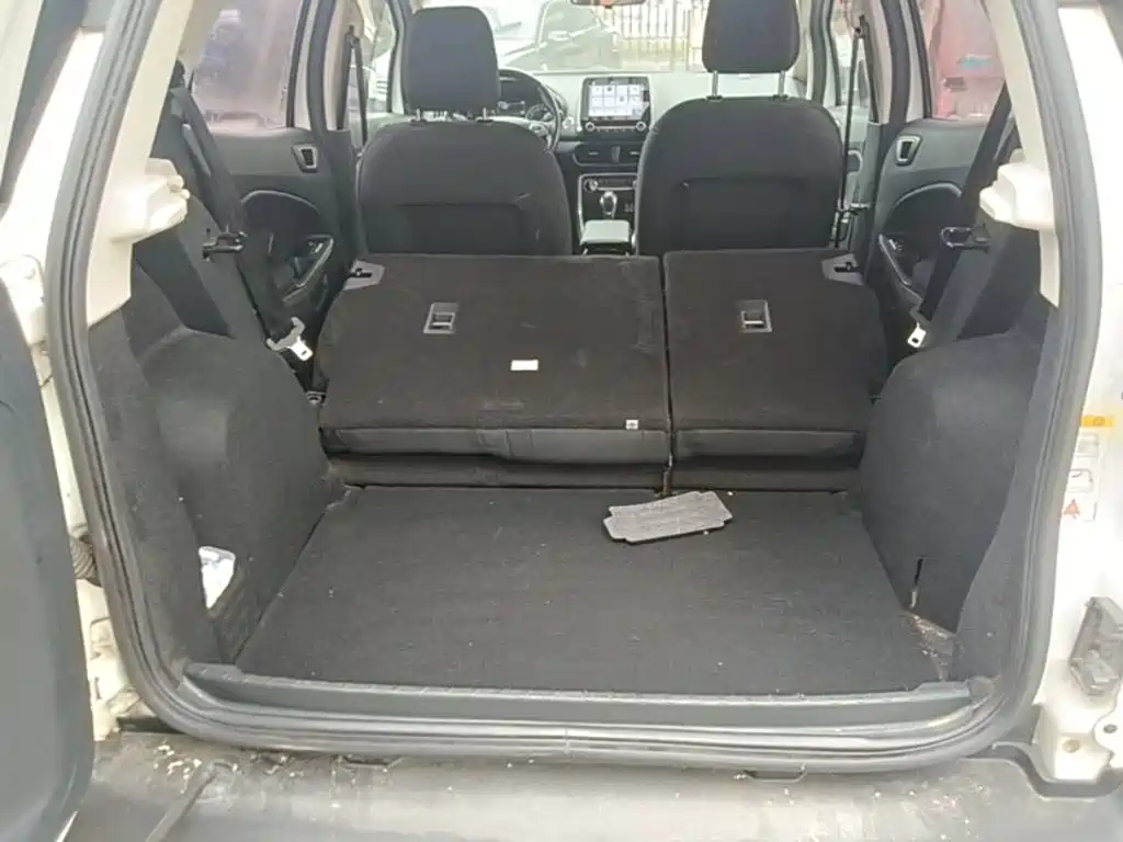 Ford Ecosport — фото 19