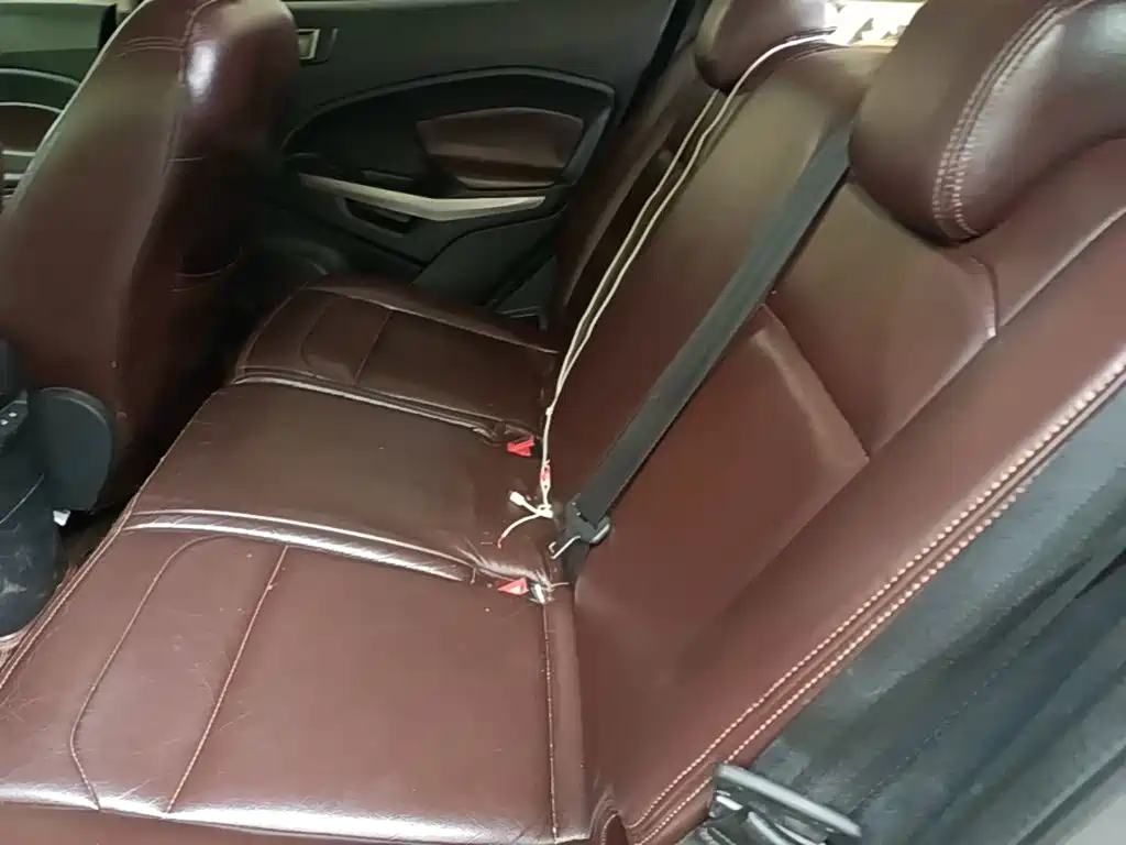 Ford Ecosport — фото 17