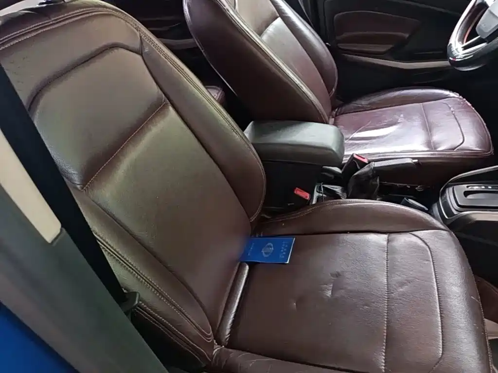 Ford Ecosport — фото 25