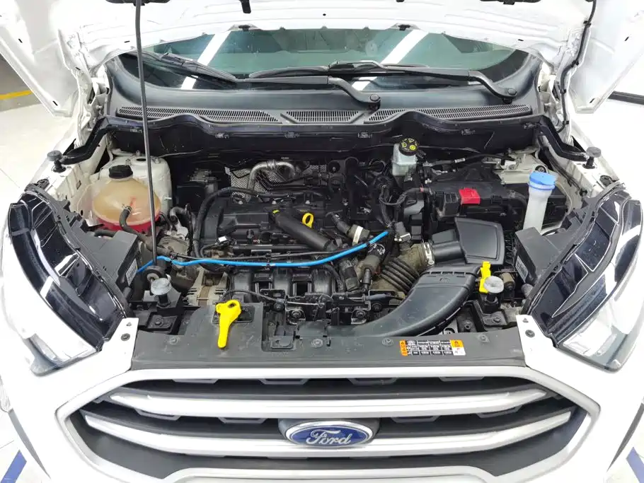 Ford Ecosport — фото 10