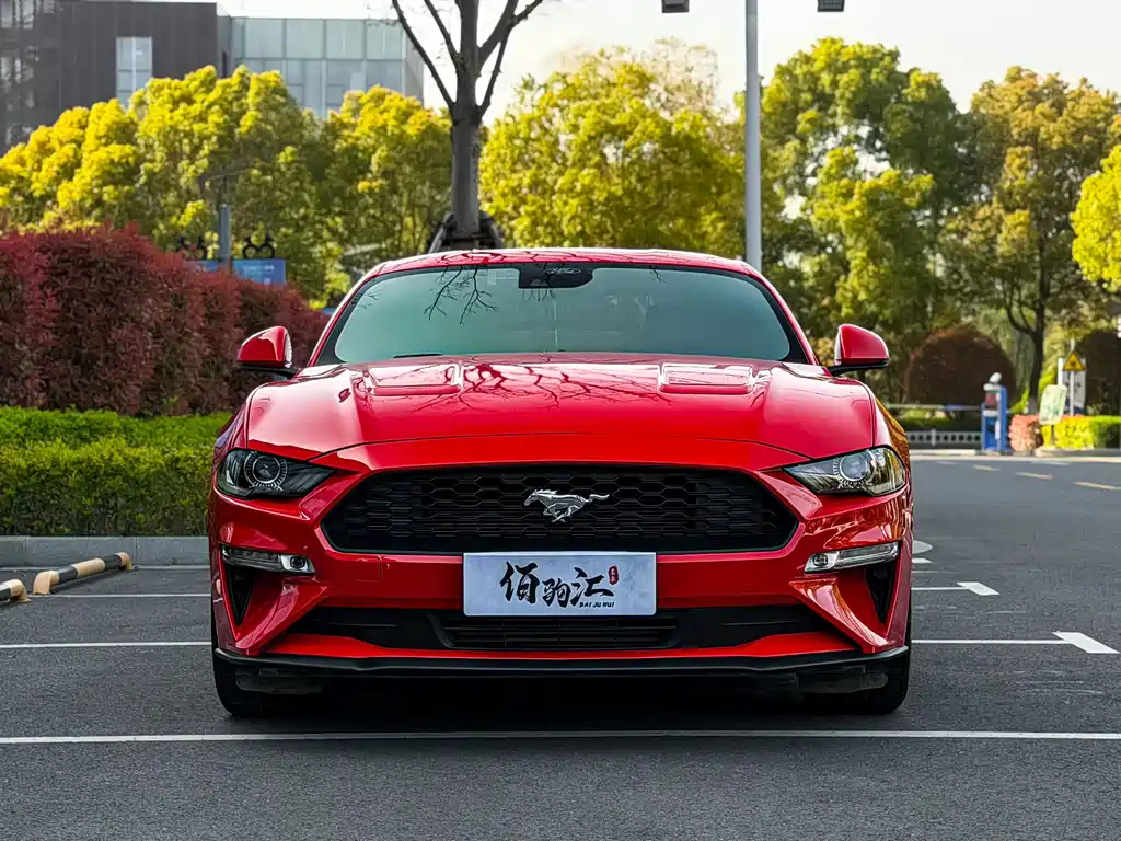 Ford Mustang — фото 3