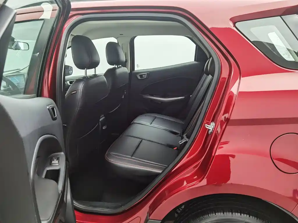 Ford Ecosport — фото 15