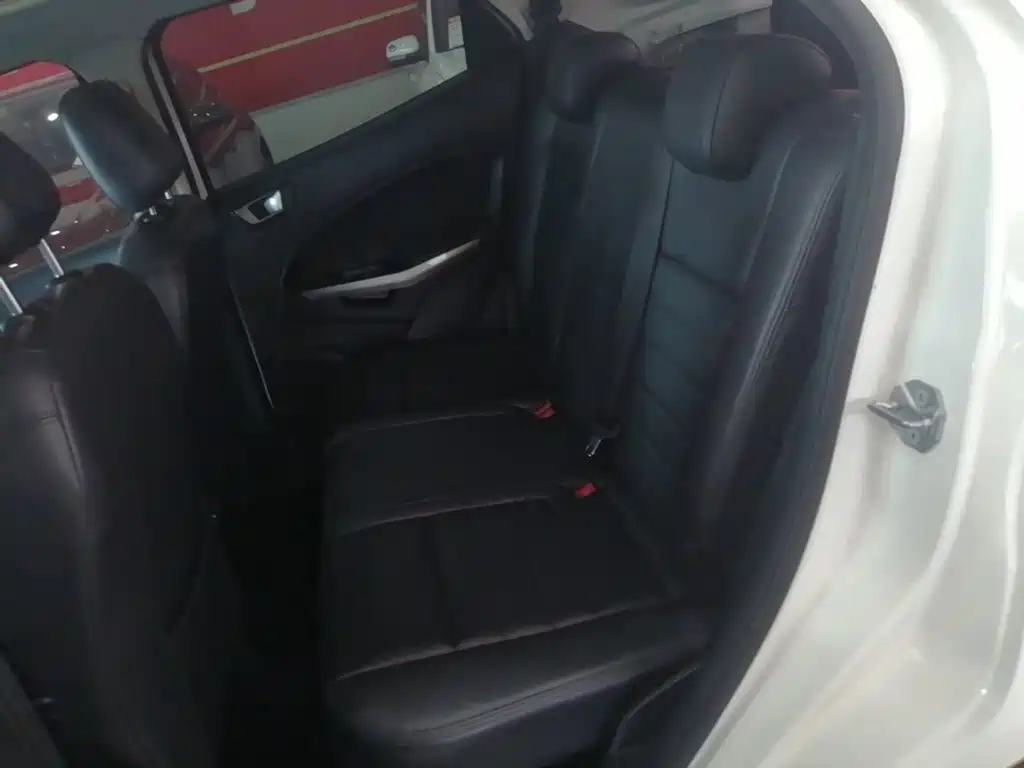 Ford Ecosport — фото 17