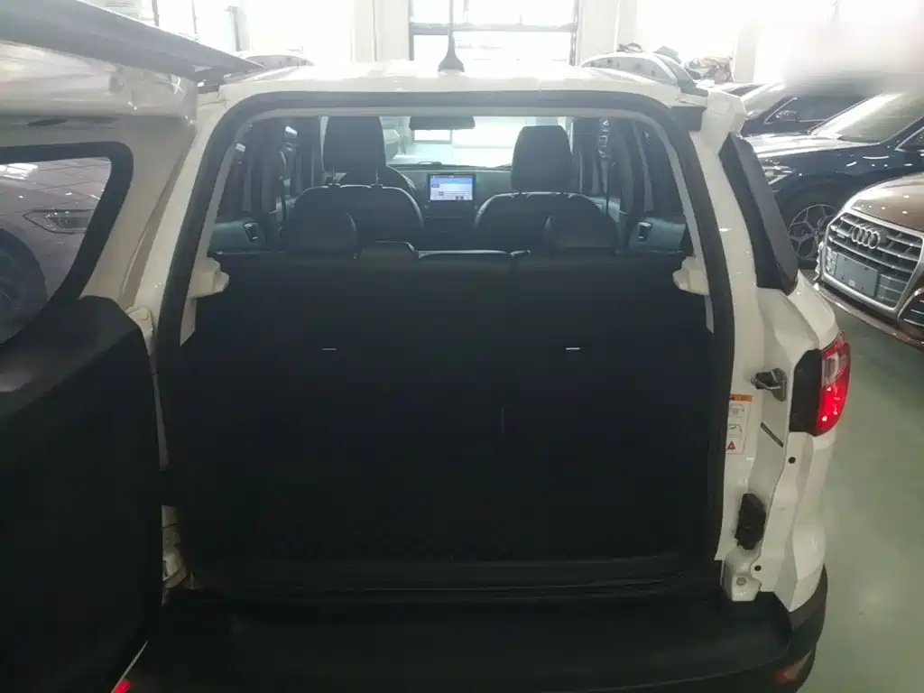 Ford Ecosport — фото 19