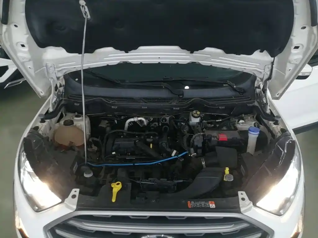 Ford Ecosport — фото 20