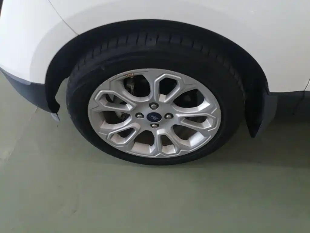Ford Ecosport — фото 23