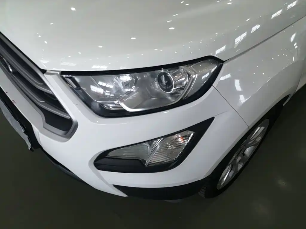 Ford Ecosport — фото 24