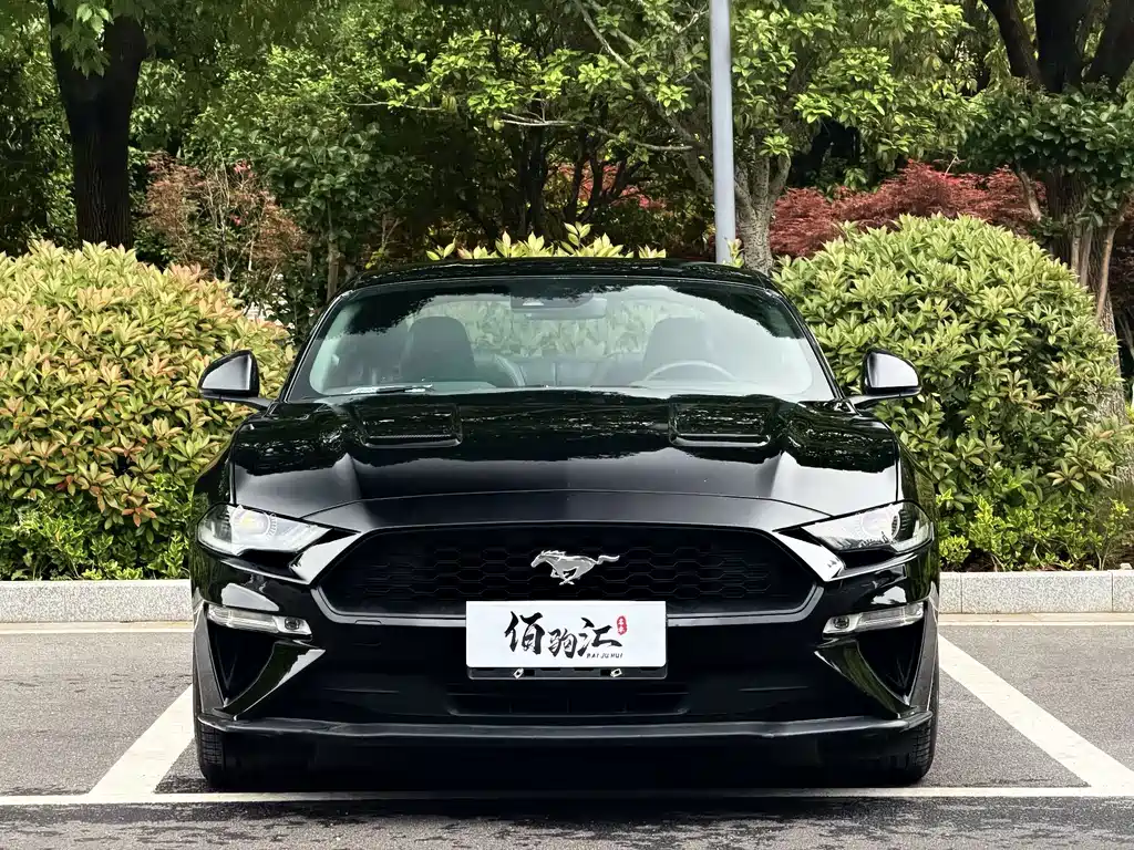 Ford Mustang — фото 2