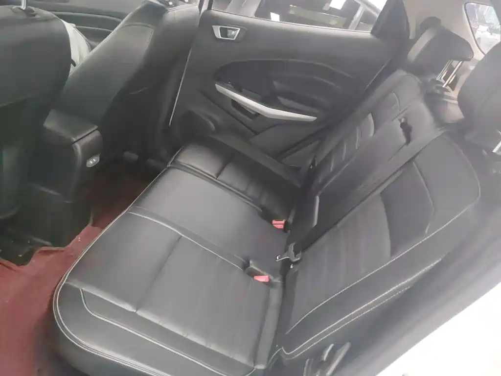 Ford Ecosport — фото 17