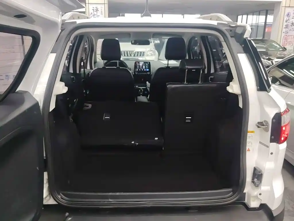 Ford Ecosport — фото 19