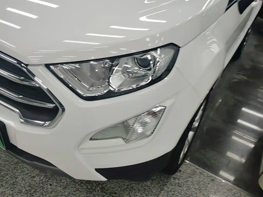 Ford Ecosport — фото 24