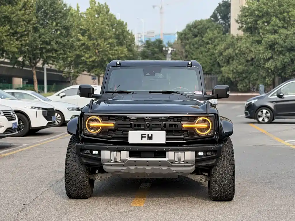 Ford Bronco (Import) — фото 2